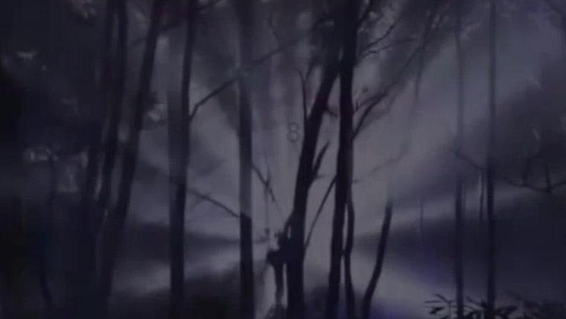 空腹16小时 能启动自噬功能减肥？